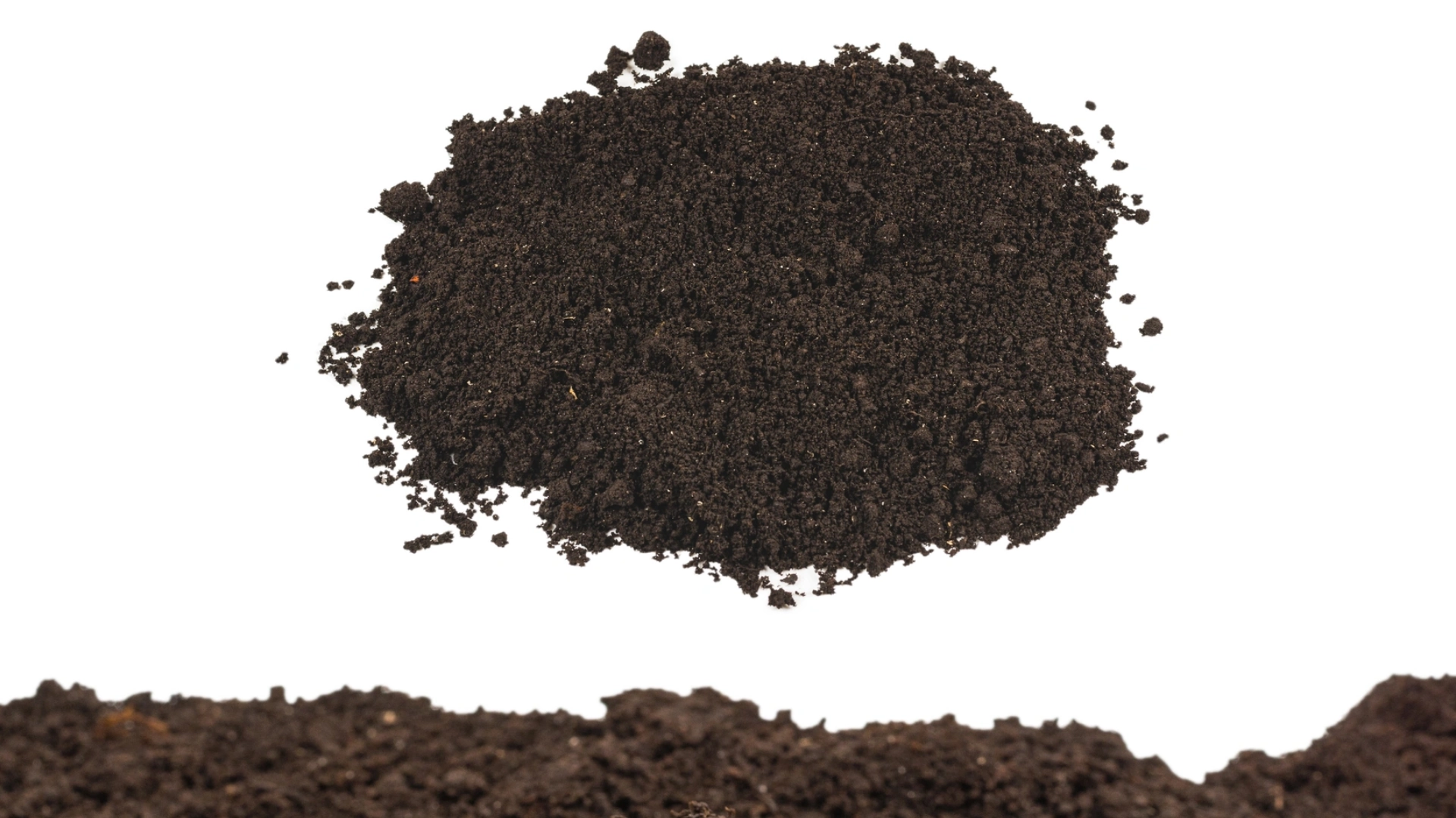 Why Soil Tests Often Confuse Small Farmers