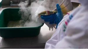 Multiplying Trichoderma